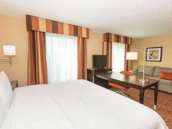 Hampton Inn & Suites Jacksonville-Airport : photo 3 de la chambre suite studio lit king-size avec canapé-lit – non-fumeurs