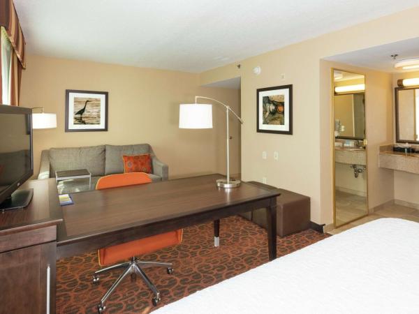Hampton Inn & Suites Jacksonville-Airport : photo 4 de la chambre suite studio lit king-size avec canapé-lit – non-fumeurs