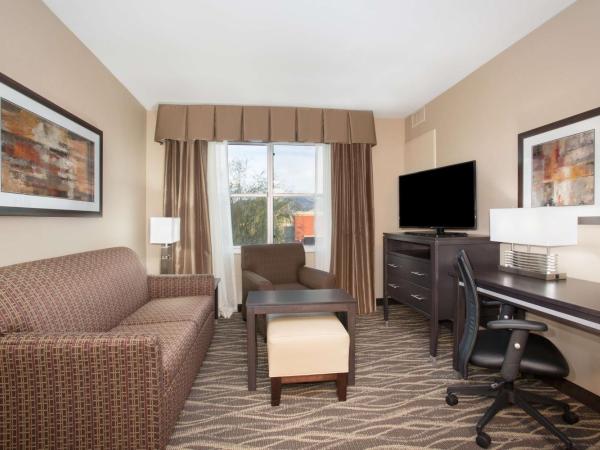 Homewood Suites by Hilton South Las Vegas : photo 4 de la chambre suite 1 chambre lit king-size - non-fumeurs
