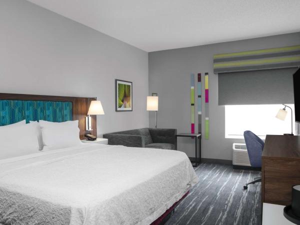 Hampton Inn Lake Buena Vista / Orlando : photo 3 de la chambre chambre lit king-size avec canapé-lit - non-fumeurs