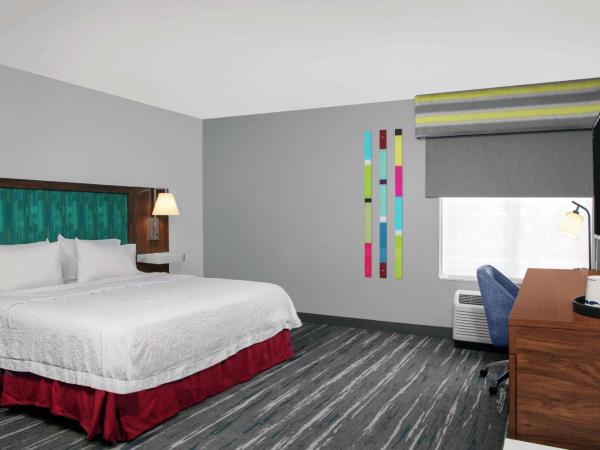 Hampton Inn Lake Buena Vista / Orlando : photo 3 de la chambre chambre lit king-size - accessible aux personnes à mobilité réduite - non-fumeurs 