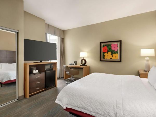 Hampton Inn Downtown / French Quarter Area : photo 1 de la chambre chambre lit king-size - accessible aux personnes à mobilité réduite - non-fumeurs