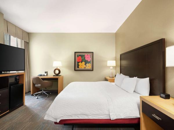 Hampton Inn Downtown / French Quarter Area : photo 2 de la chambre chambre lit king-size - accessible aux personnes à mobilité réduite - non-fumeurs