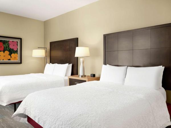 Hampton Inn Downtown / French Quarter Area : photo 3 de la chambre chambre avec 2 lits queen-size - accessible aux personnes à mobilité réduite - non-fumeurs