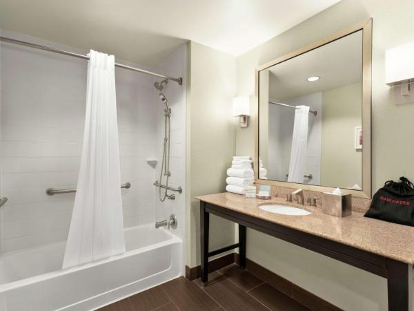 Hampton Inn Downtown / French Quarter Area : photo 6 de la chambre chambre lit king-size - accessible aux personnes à mobilité réduite - non-fumeurs