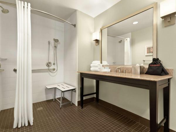 Hampton Inn Downtown / French Quarter Area : photo 7 de la chambre chambre lit king-size - accessible aux personnes à mobilité réduite - non-fumeurs