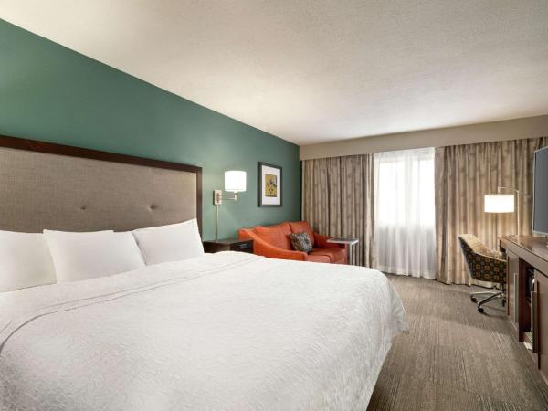 Hampton Inn New Orleans/St.Charles Ave : photo 4 de la chambre chambre lit king-size avec canapé-lit - non-fumeurs