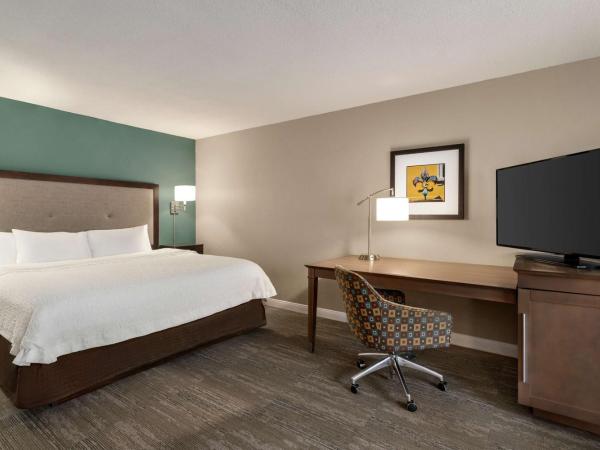 Hampton Inn New Orleans/St.Charles Ave : photo 6 de la chambre suite lit king-size avec baignoire spa - non-fumeurs