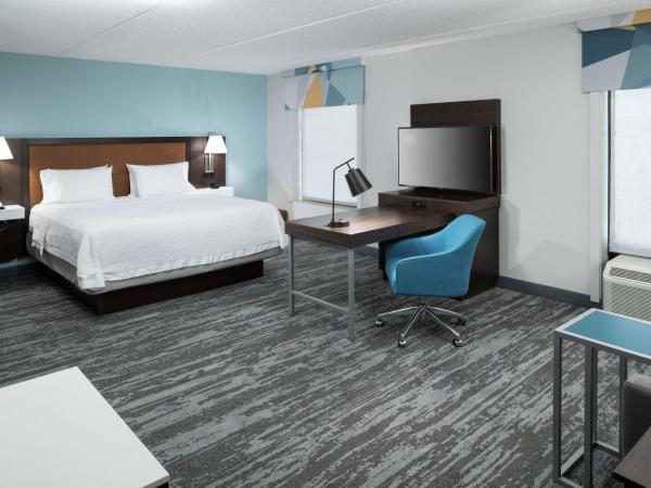 Hampton Inn & Suites Panama City Beach-Pier Park Area : photo 1 de la chambre suite studio lit king-size - non-fumeurs