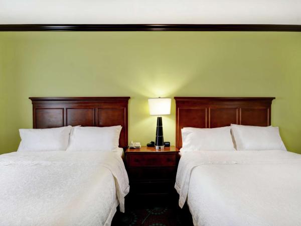 Hampton Inn & Suites San Antonio/Northeast I-35 : photo 2 de la chambre chambre 2 lits queen-size - non-fumeurs