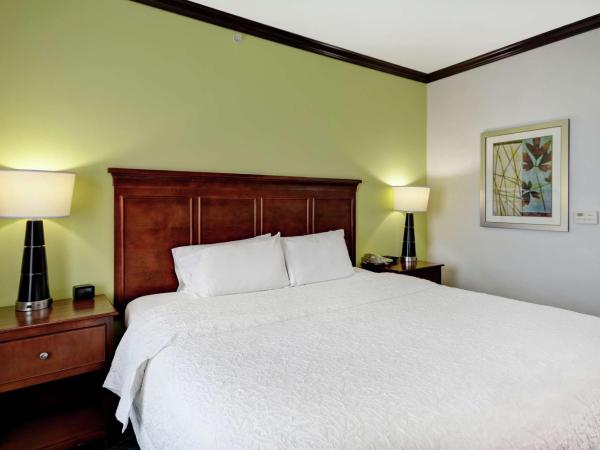 Hampton Inn & Suites San Antonio/Northeast I-35 : photo 1 de la chambre suite studio lit king-size avec canapé-lit – non-fumeurs
