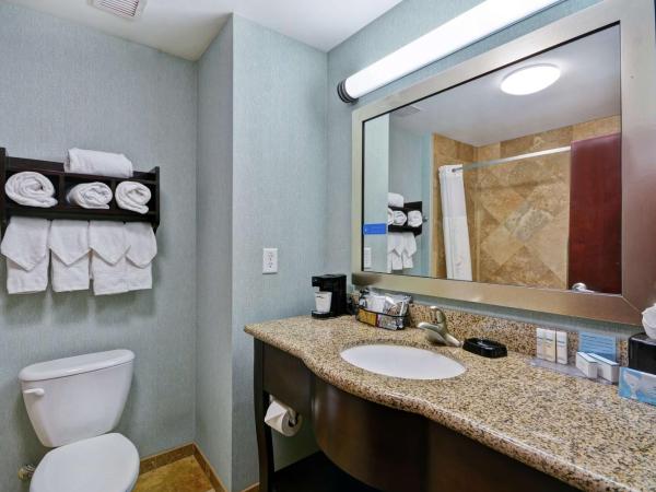 Hampton Inn & Suites San Antonio/Northeast I-35 : photo 5 de la chambre chambre 2 lits queen-size - non-fumeurs