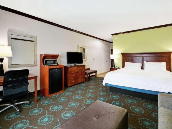 Hampton Inn & Suites San Antonio/Northeast I-35 : photo 2 de la chambre suite studio lit king-size avec canapé-lit – non-fumeurs