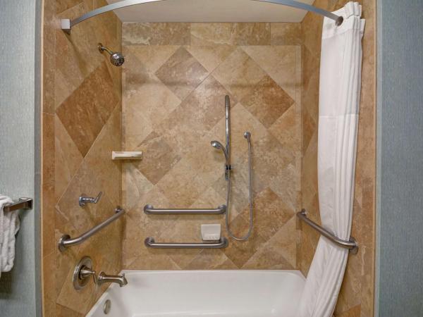 Hampton Inn & Suites San Antonio/Northeast I-35 : photo 5 de la chambre chambre 2 lits queen-size - accessible aux personnes à mobilité réduite et adaptée aux personnes malentendantes - non-fumeurs