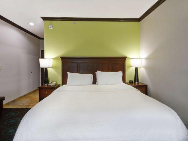 Hampton Inn & Suites San Antonio/Northeast I-35 : photo 3 de la chambre suite studio lit king-size avec canapé-lit – non-fumeurs