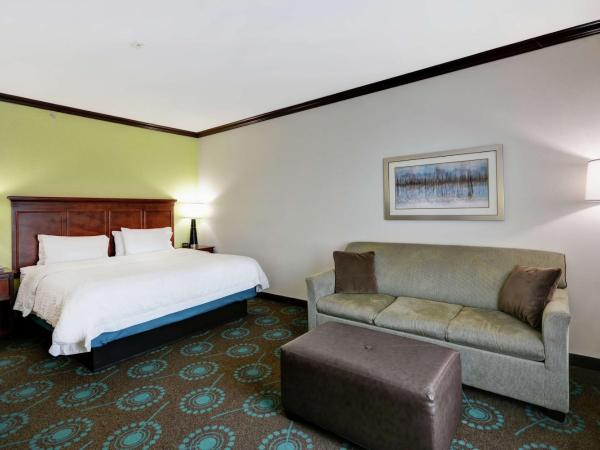 Hampton Inn & Suites San Antonio/Northeast I-35 : photo 4 de la chambre suite studio lit king-size avec canapé-lit – non-fumeurs