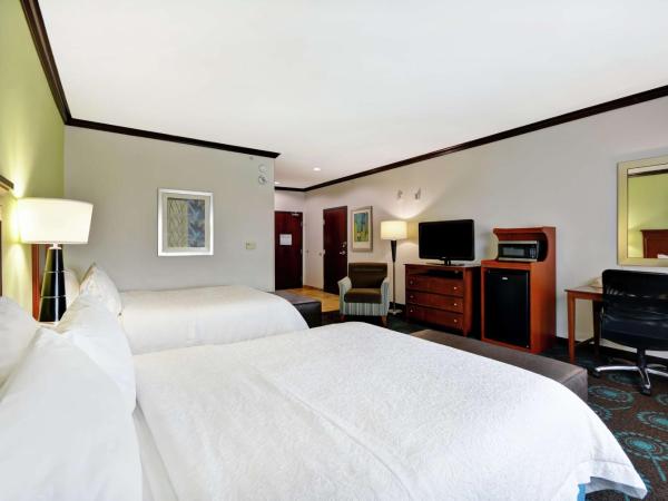 Hampton Inn & Suites San Antonio/Northeast I-35 : photo 3 de la chambre chambre 2 lits queen-size - accessible aux personnes à mobilité réduite et adaptée aux personnes malentendantes - non-fumeurs
