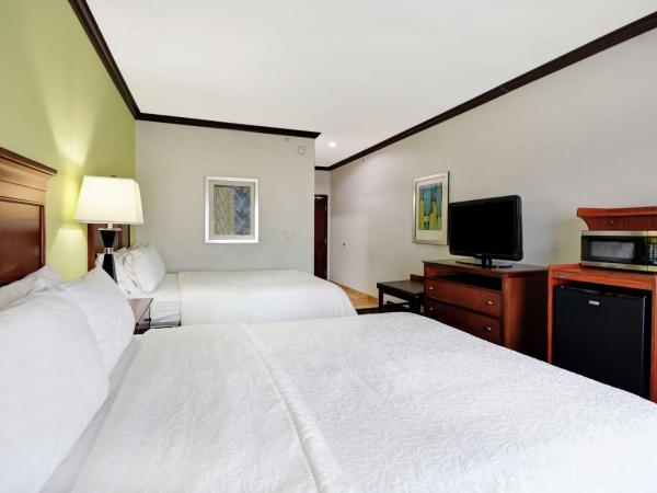 Hampton Inn & Suites San Antonio/Northeast I-35 : photo 3 de la chambre chambre 2 lits queen-size - non-fumeurs