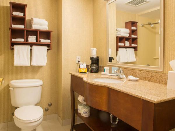 Hampton Inn Toronto-Mississauga West : photo 3 de la chambre chambre lit king-size deluxe - non-fumeurs 