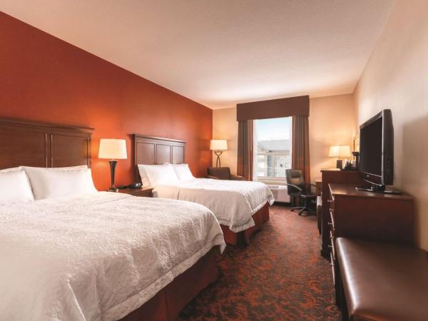 Hampton Inn by Hilton Edmonton South : photo 2 de la chambre chambre 2 lits queen-size - non-fumeurs