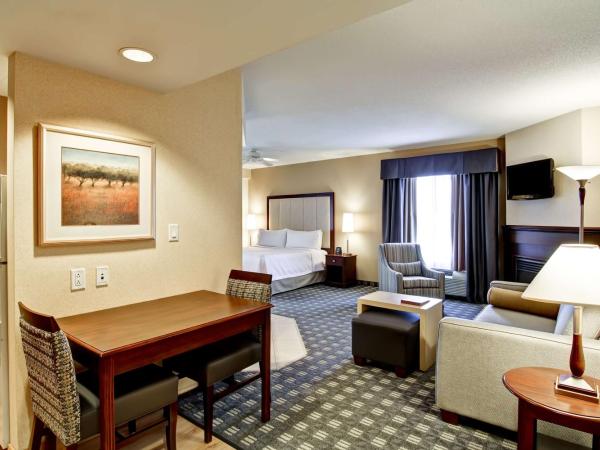 Homewood Suites by Hilton Toronto Mississauga : photo 1 de la chambre suite studio avec lit king-size et cheminée - non-fumeurs