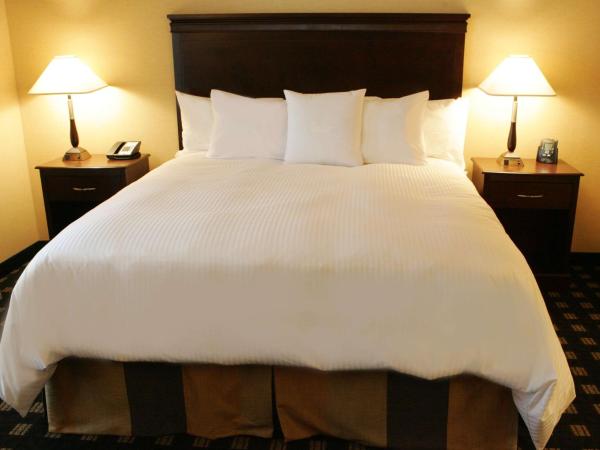 Homewood Suites by Hilton Toronto Airport Corporate Centre : photo 2 de la chambre suite studio lit king-size - non-fumeurs