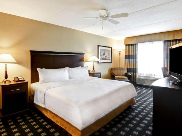 Homewood Suites by Hilton Toronto Airport Corporate Centre : photo 2 de la chambre suite lit king-size - accessible aux personnes à mobilité réduite