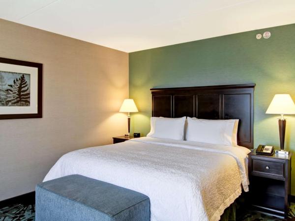 Hampton Inn by Hilton Toronto Airport Corporate Centre : photo 6 de la chambre chambre lit king-size - non-fumeurs