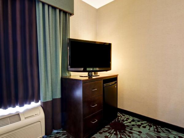 Hampton Inn by Hilton Toronto Airport Corporate Centre : photo 7 de la chambre chambre lit king-size - non-fumeurs