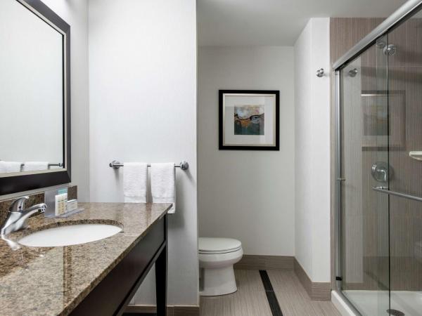 Hampton Inn by Hilton Winnipeg : photo 3 de la chambre chambre lit king-size - non-fumeurs