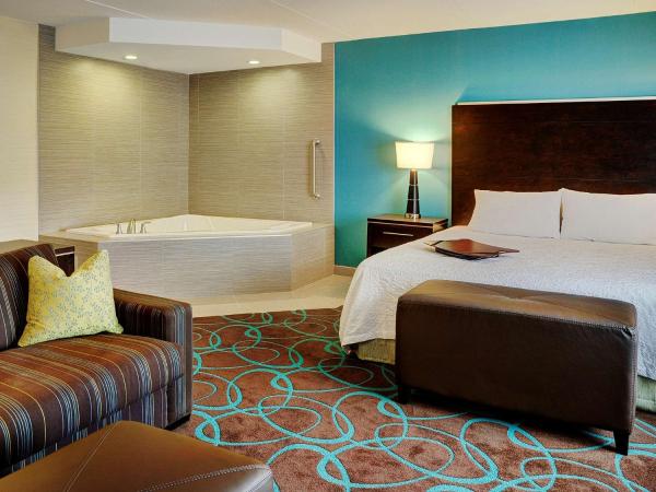 Hampton Inn by Hilton Winnipeg : photo 1 de la chambre studio suite avec lit king-size et bain à remous - non-fumeurs