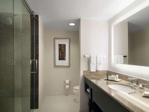 Hilton Atlanta Airport : photo 6 de la chambre suite junior lit king-size