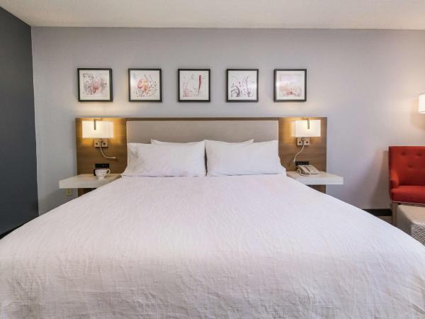 Hilton Garden Inn Atlanta Marietta : photo 3 de la chambre chambre lit king-size