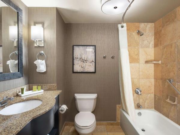 Hilton Columbia Center : photo 5 de la chambre chambre avec 2 grands lits queen-size 