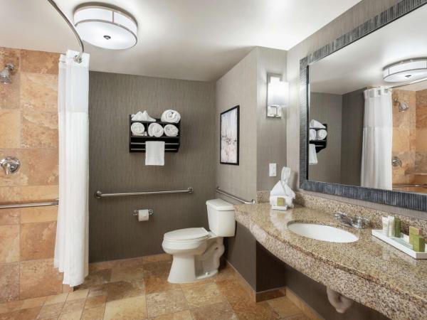 Hilton Columbia Center : photo 2 de la chambre chambre lit king-size - accessible aux personnes à mobilité réduite/malentendantes avec douche accessible en fauteuil roulant