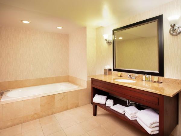 DoubleTree by Hilton Hotel Columbia : photo 8 de la chambre suite lit king-size deluxe - non-fumeurs