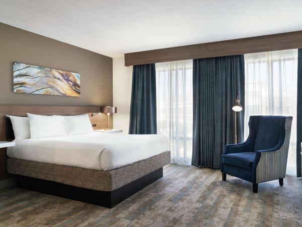 Hilton Garden Inn Charlotte/Ayrsley : photo 1 de la chambre suite 1 chambre lit king-size