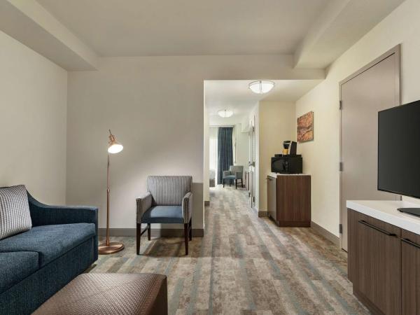 Hilton Garden Inn Charlotte/Ayrsley : photo 2 de la chambre suite junior lit king-size avec coin salon