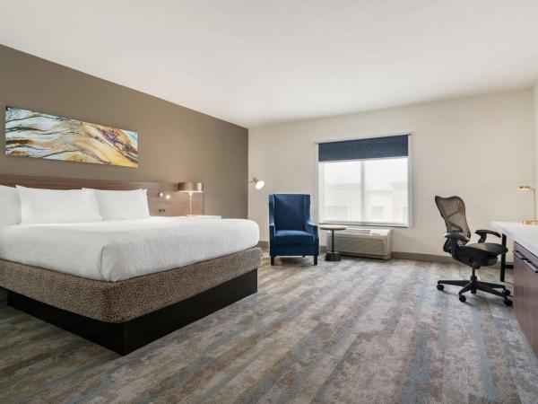 Hilton Garden Inn Charlotte/Ayrsley : photo 1 de la chambre chambre lit king-size avec baignoire - accessible aux personnes à mobilité réduite et adaptée aux personnes malentendantes