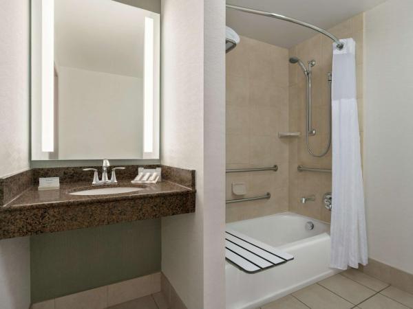 Hilton Garden Inn Charlotte/Ayrsley : photo 5 de la chambre chambre lit king-size avec baignoire - accessible aux personnes à mobilité réduite et adaptée aux personnes malentendantes