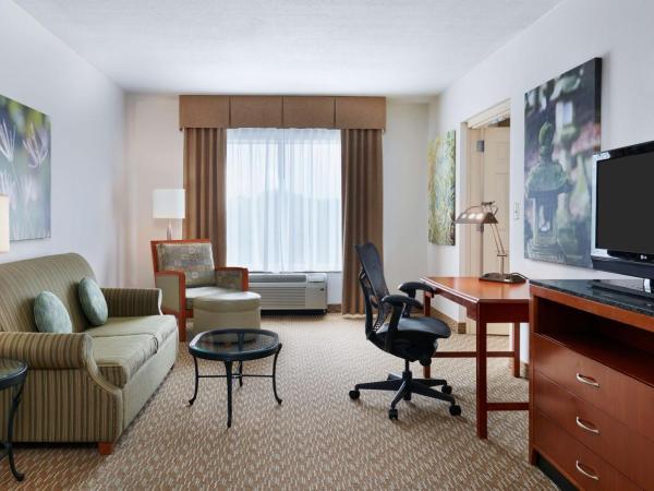 Hilton Garden Inn Charlotte Pineville : photo 4 de la chambre suite lit king-size avec jacuzzi