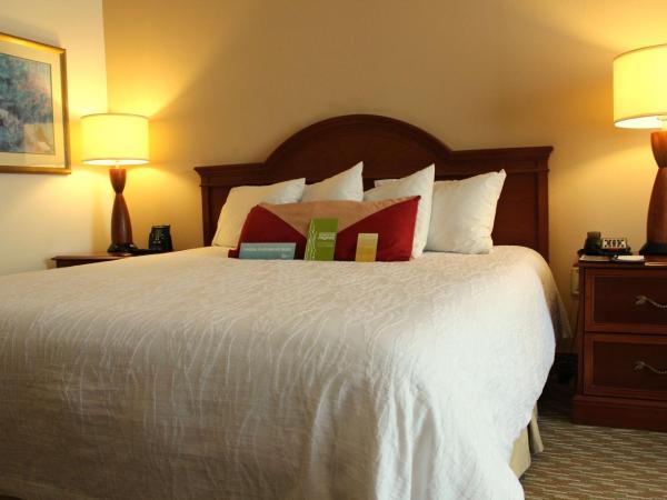 Hilton Garden Inn Charlotte Pineville : photo 4 de la chambre chambre lit king-size