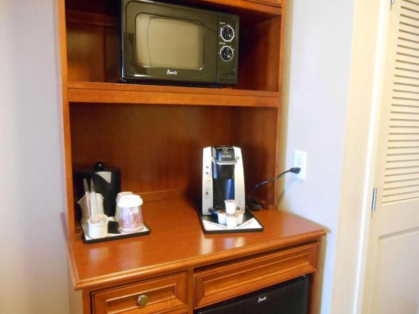 Hilton Garden Inn Columbus Airport : photo 1 de la chambre chambre lit king-size