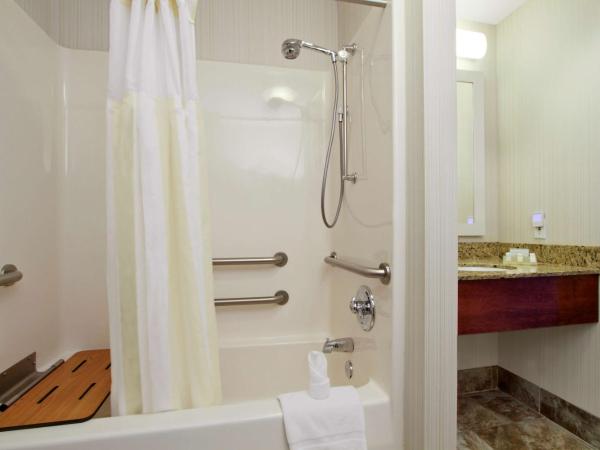 Hilton Garden Inn Columbus Airport : photo 8 de la chambre chambre lit king-size