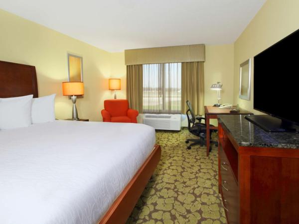 Hilton Garden Inn Columbus Airport : photo 6 de la chambre chambre lit king-size
