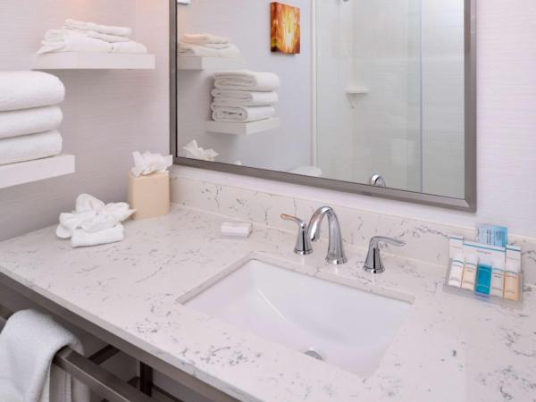 Hilton Garden Inn Columbus/Polaris : photo 7 de la chambre chambre lit king-size