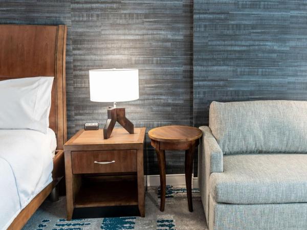 Hilton Garden Inn Arlington/Courthouse Plaza : photo 5 de la chambre chambre lit king-size deluxe avec canapé-lit