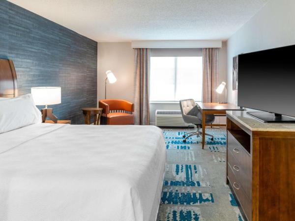 Hilton Garden Inn Arlington/Courthouse Plaza : photo 4 de la chambre chambre lit king-size avec baignoire accessible aux personnes à mobilité réduite - adaptée aux personnes à mobilité réduite