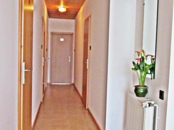 Zsuzsa Panzió : photo 7 de la chambre chambre triple