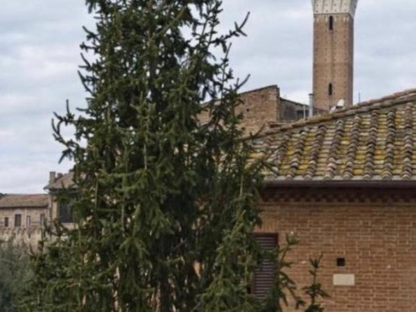 Vicolo Dell'Oro : photo 8 de la chambre chambre double avec terrasse